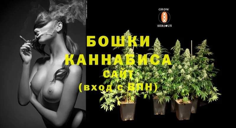 Бошки марихуана OG Kush  Бирюч 